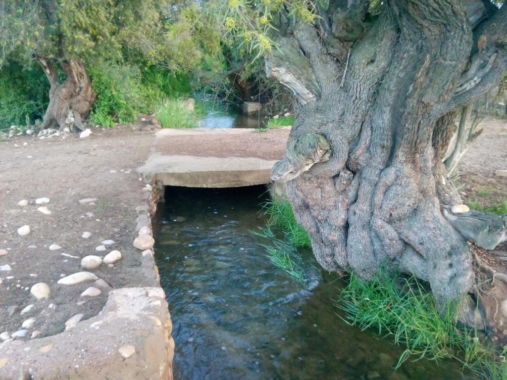 Grysbok Self Catering Accommodation Oudtshoorn Extérieur photo