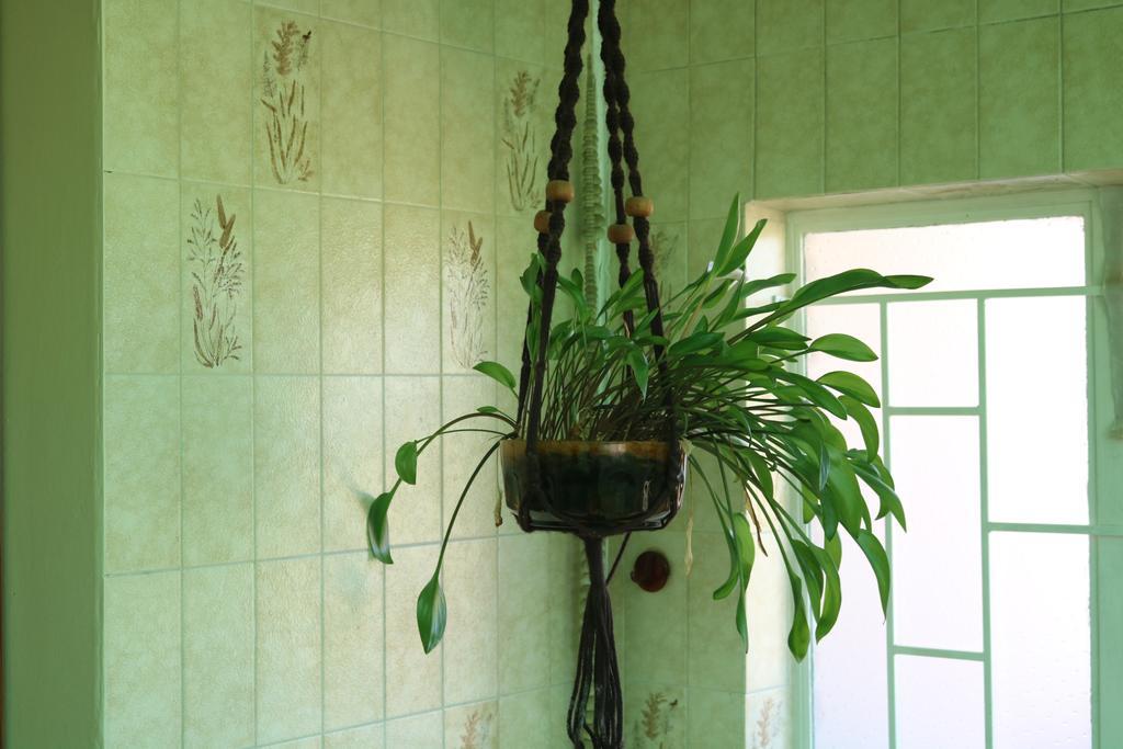 Grysbok Self Catering Accommodation Oudtshoorn Extérieur photo