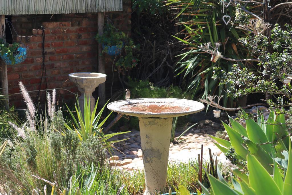 Grysbok Self Catering Accommodation Oudtshoorn Extérieur photo