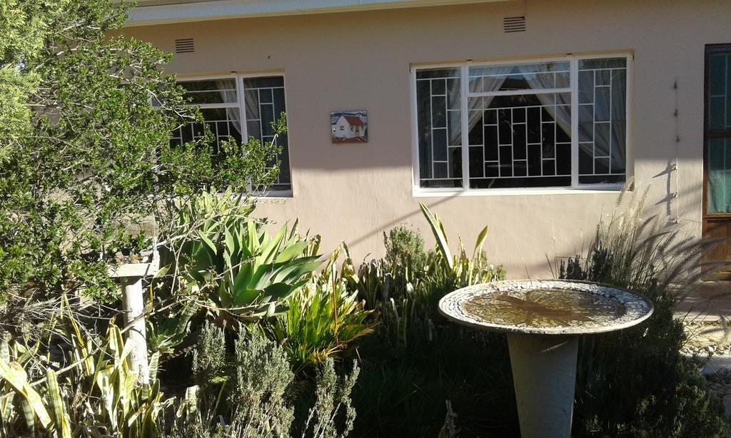 Grysbok Self Catering Accommodation Oudtshoorn Extérieur photo